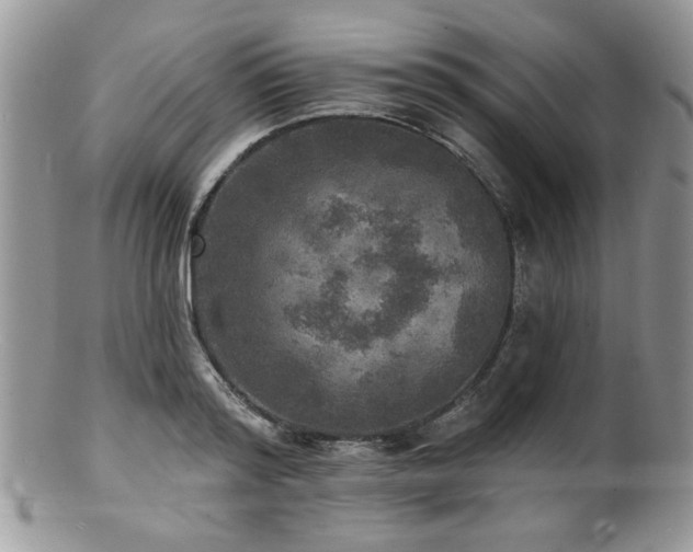 X0000100840796200806201149