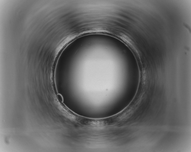 X0000100840797200806201149