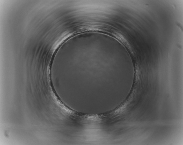 X0000100840798200806201149