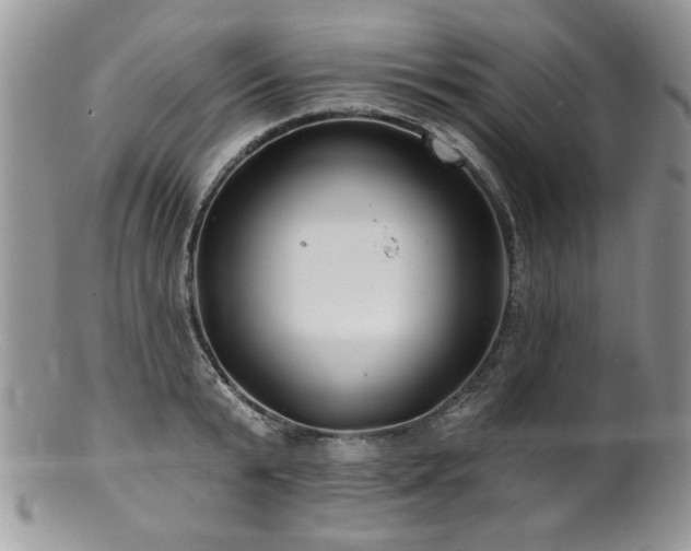 X0000100840799200806201149