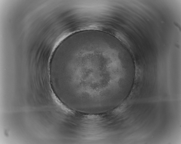 X0000100840800200806201149