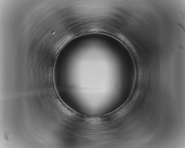 X0000100840801200806201149