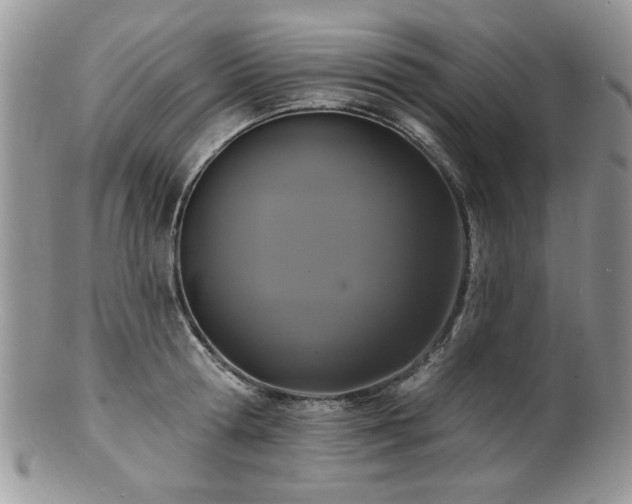 X0000100840802200806201149