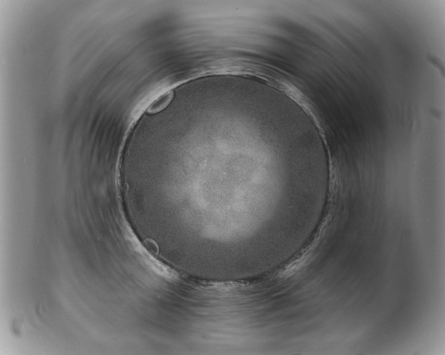 X0000100840803200806201149