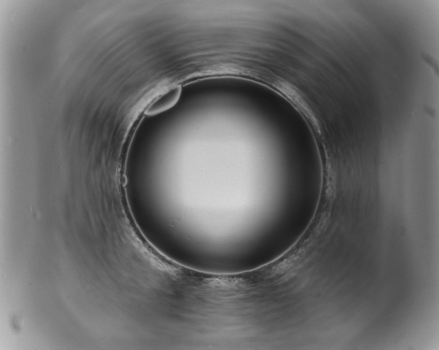 X0000100840805200806201149