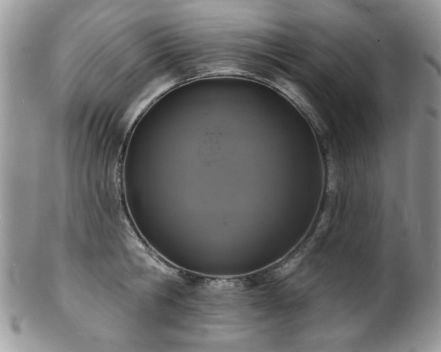 X0000100840806200806201149