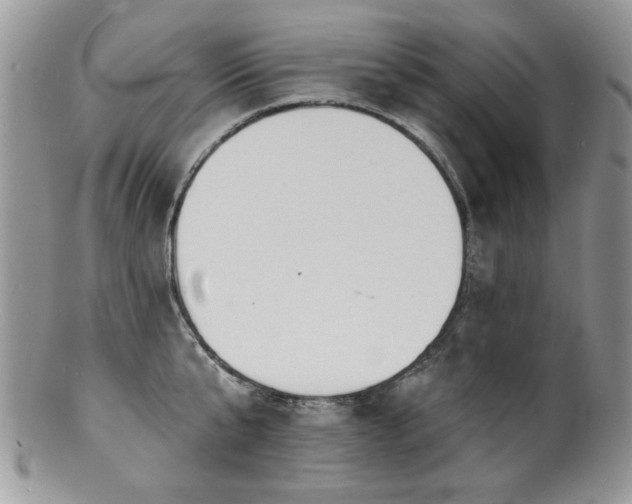 X0000100840807200806201149