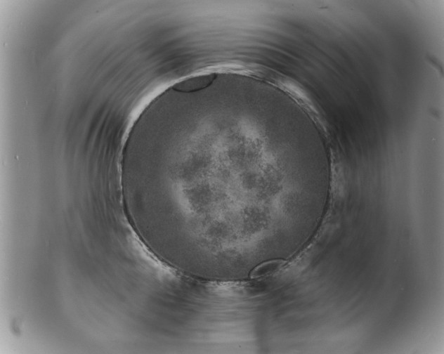 X0000100840808200806201149