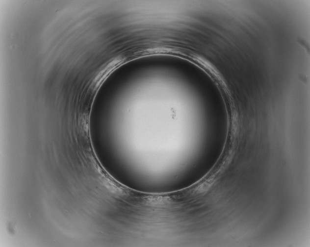 X0000100840809200806201149