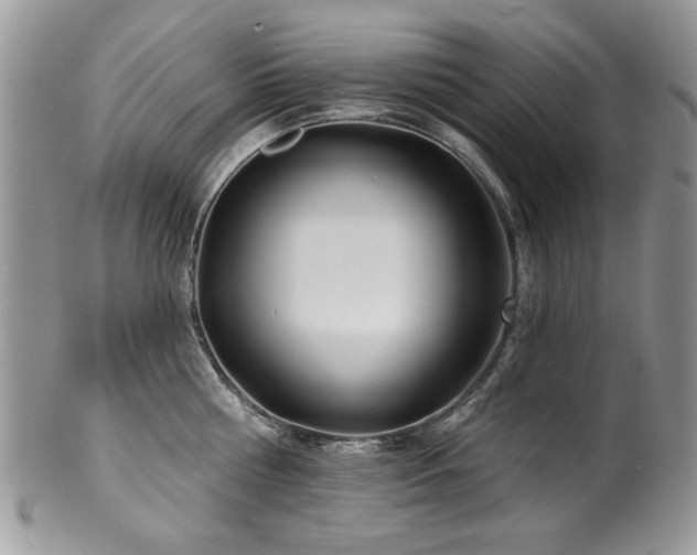 X0000100840810200806201149