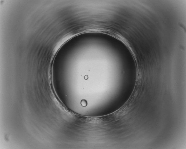 X0000100840811200806201149