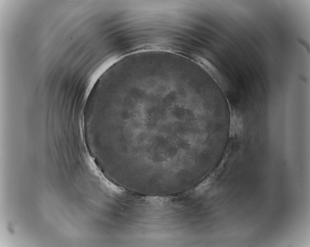 X0000100840812200806201149