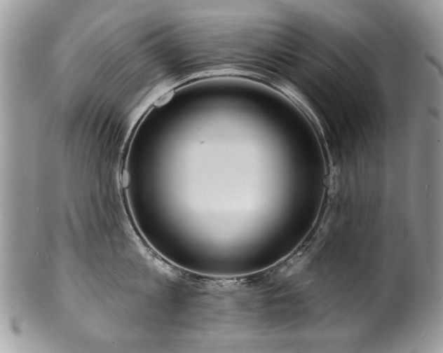 X0000100840813200806201149