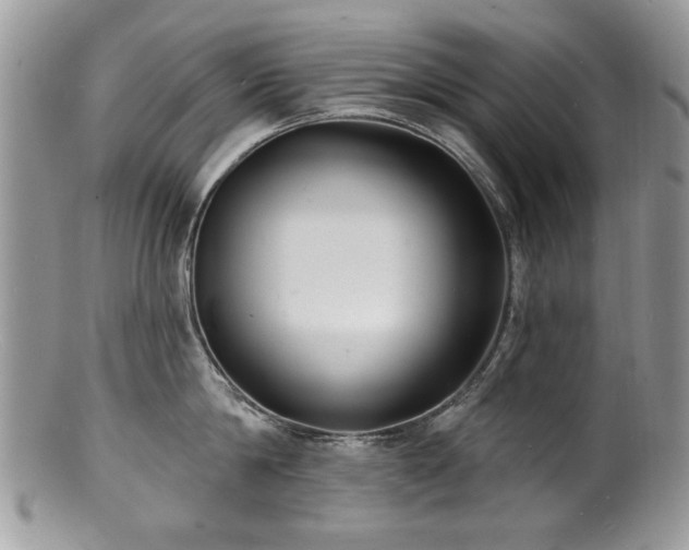 X0000100840814200806201149