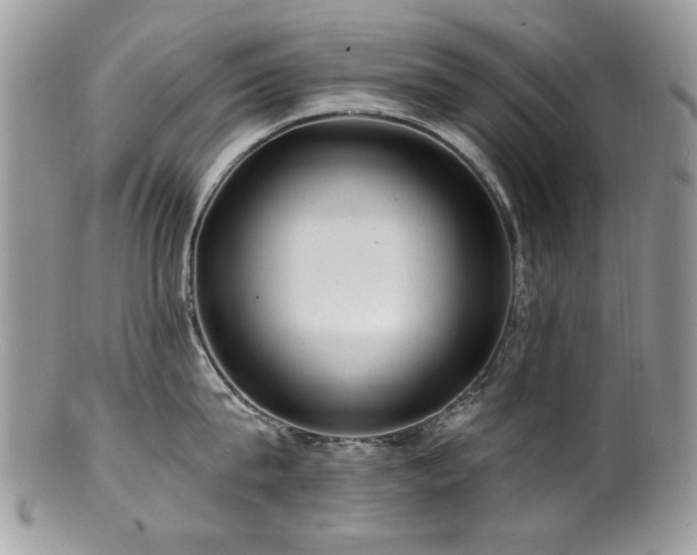 X0000100840815200806201149