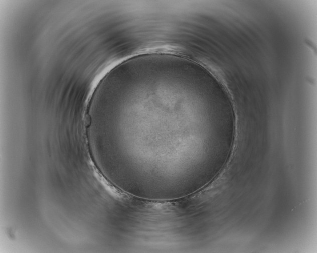 X0000100840816200806201149