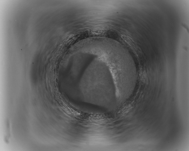 X0000100840817200806201148