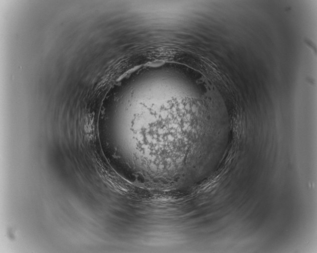 X0000100840818200806201148