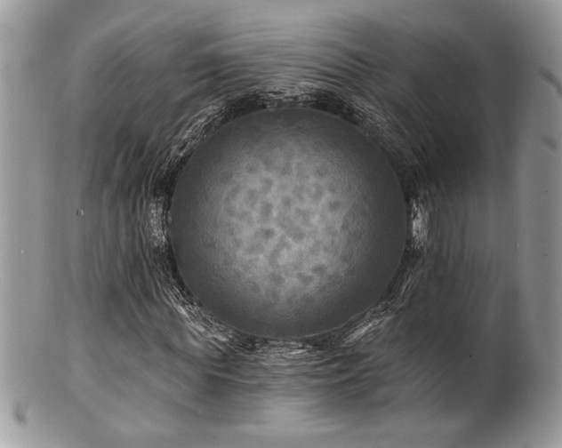 X0000100840819200806201148