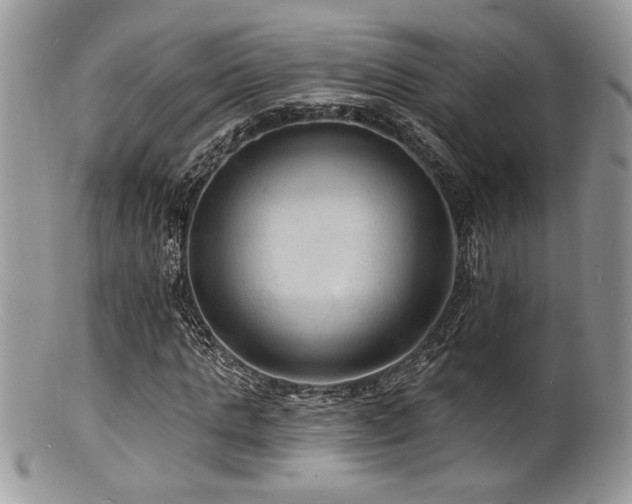 X0000100840821200806201148