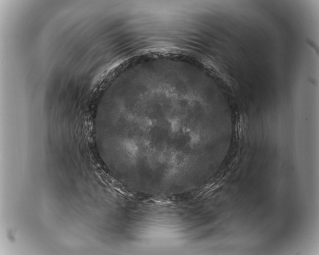 X0000100840822200806201148