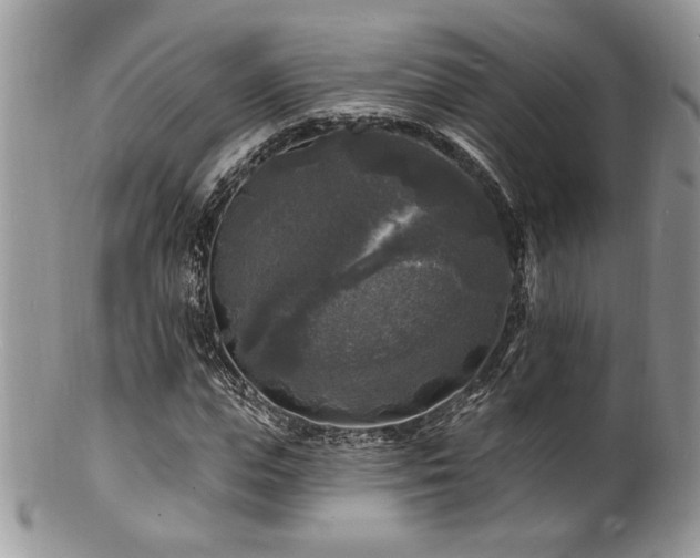 X0000100840823200806201149