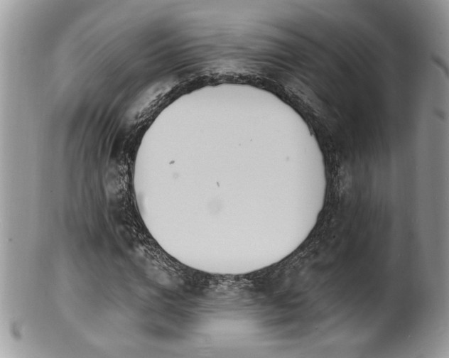 X0000100840824200806201149