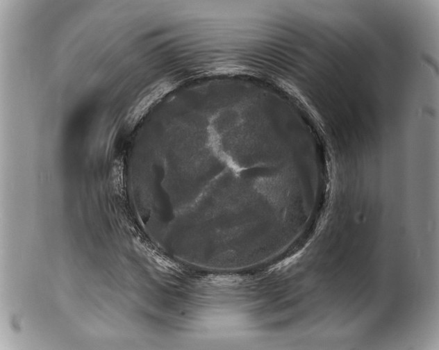 X0000100840825200806201149