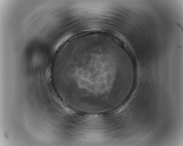 X0000100840826200806201149