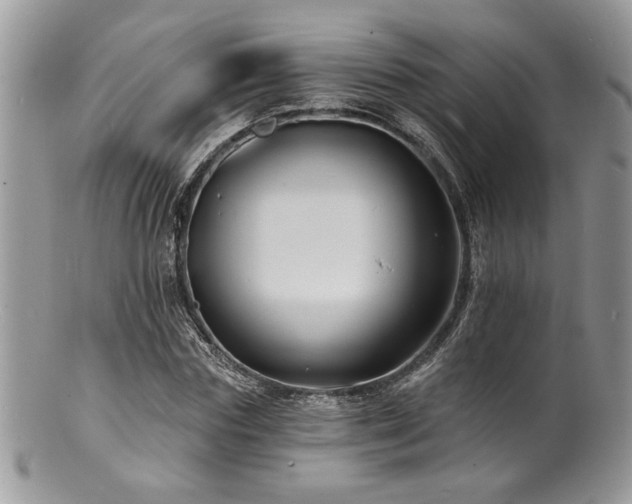 X0000100840827200806201149