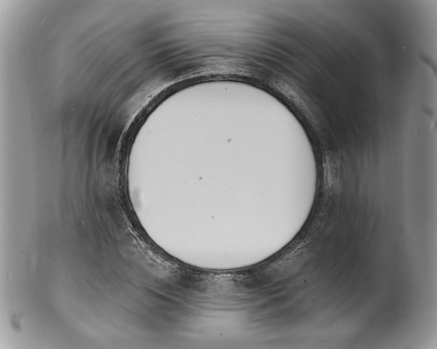 X0000100840828200806201149