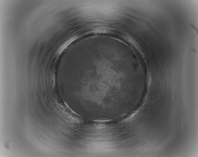 X0000100840829200806201149