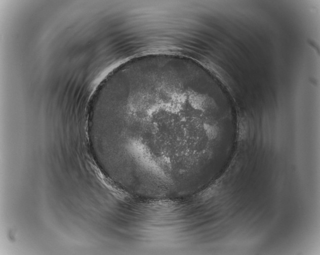 X0000100840830200806201149