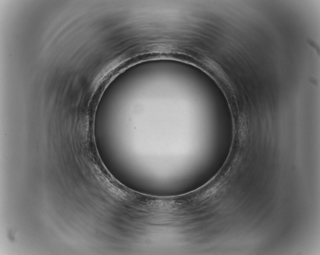 X0000100840831200806201149