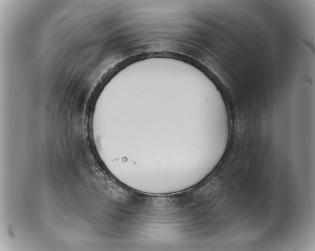 X0000100840832200806201149