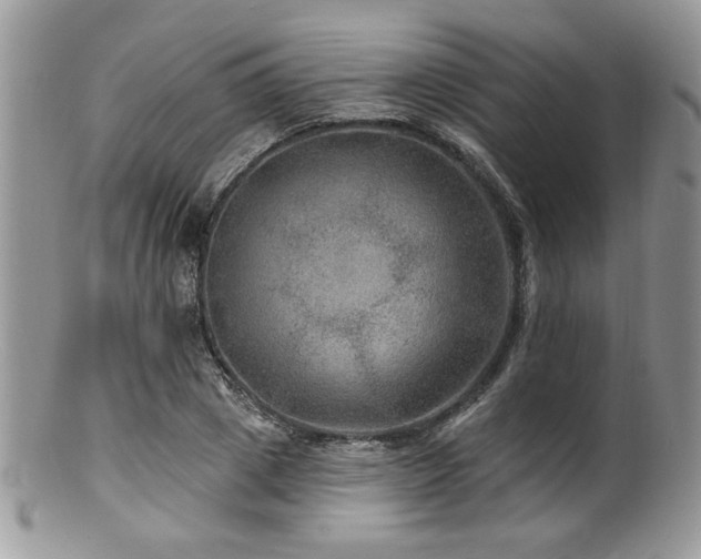 X0000100840833200806201149