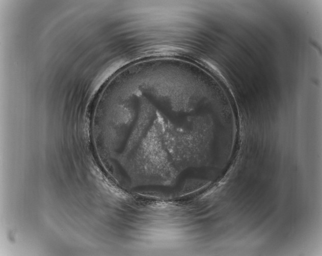 X0000100840835200806201149