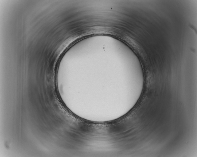 X0000100840836200806201149