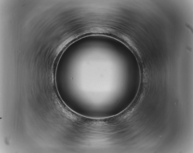 X0000100840837200806201149