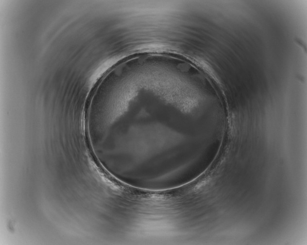 X0000100840839200806201149