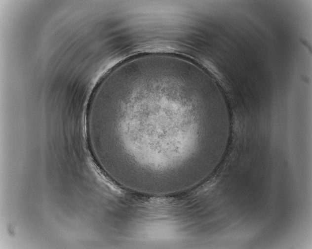 X0000100840840200806201149