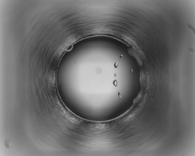 X0000100840841200806201149