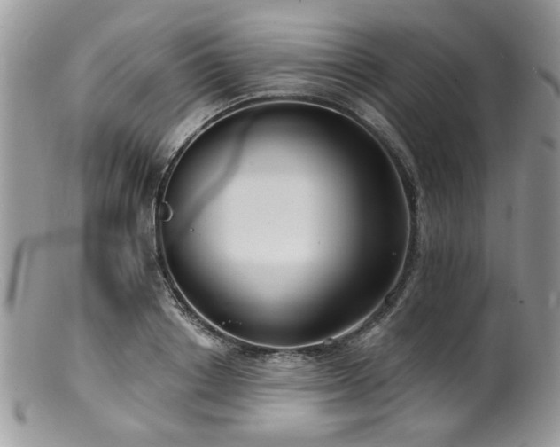 X0000100840842200806201149