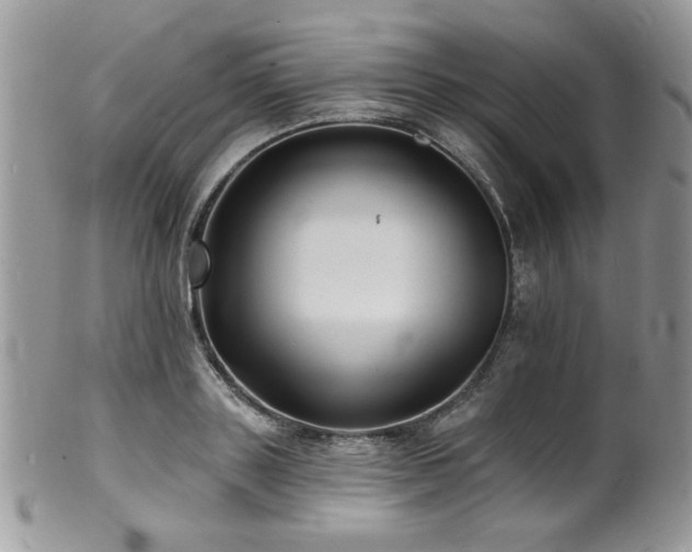 X0000100840843200806201149