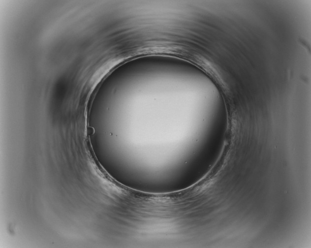 X0000100840844200806201149