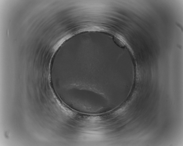 X0000100840845200806201149