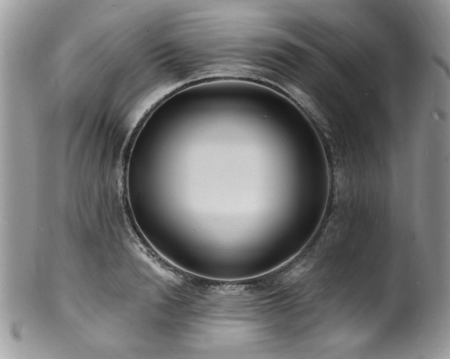 X0000100840846200806201149