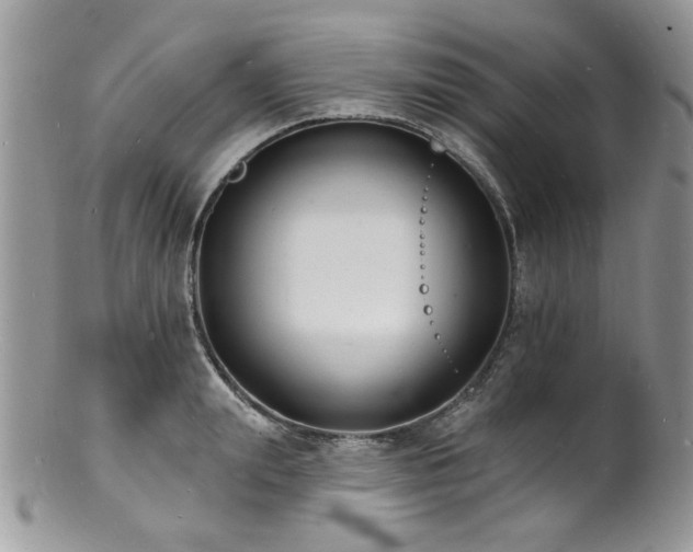 X0000100840847200806201149