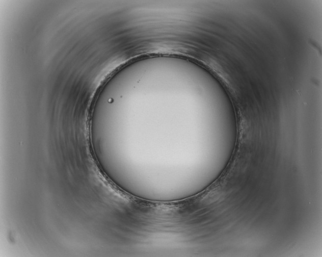 X0000100840848200806201149