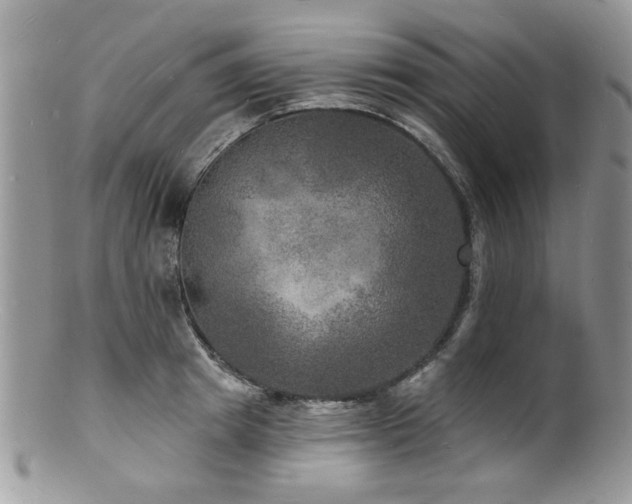 X0000100840849200806201149